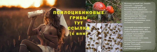 молекула духа Аркадак